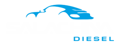 SALACHNA